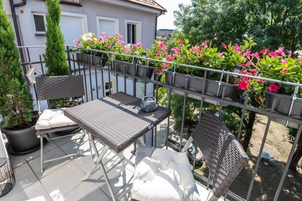 Old Town Apartment Bratislava Dış mekan fotoğraf